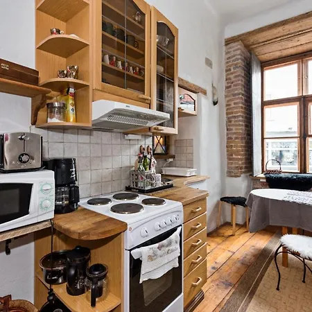Historical Two-bedroom With Sauna, Jacuzzi And Fireplace *